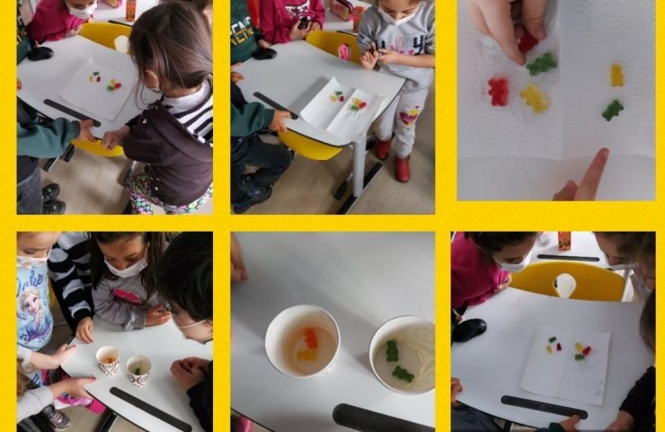İlkokul öğrencilerinden eTwinning Fairy Tale Laboratory (Steam) projesi