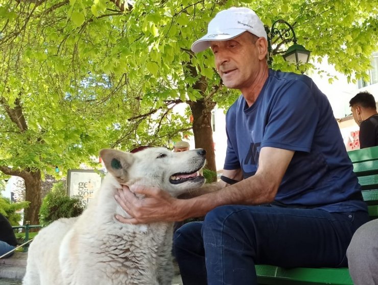 Evcil hayvan sahiplenmenin faydaları saymakla bitmiyor
