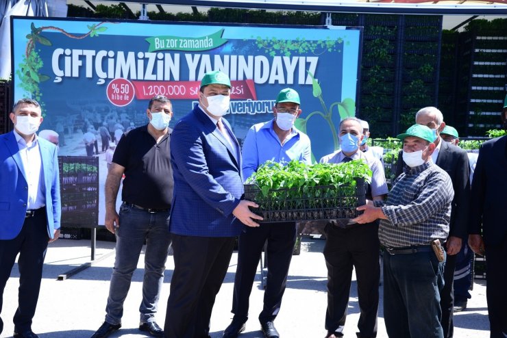 Kahramankazan’da çiftçilere 1 milyon 200 bin sebze fidesi dağıtıldı