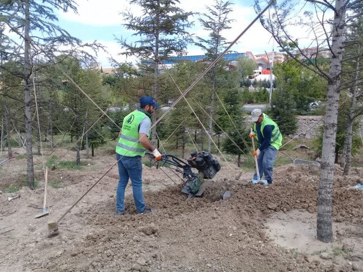 Pursaklar yeşile bürünüyor