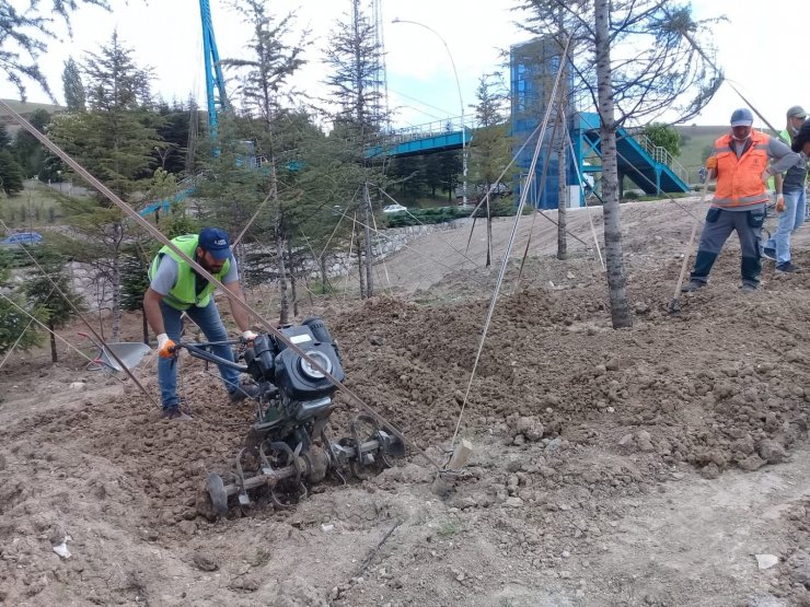Pursaklar yeşile bürünüyor