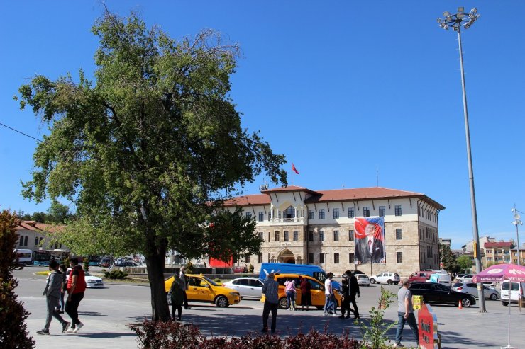 En meşhur ağaç, Sivaslı olup da bilmeyen yok
