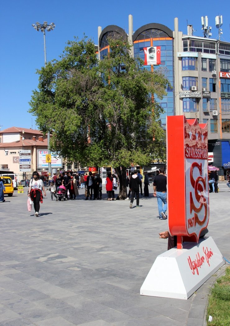 En meşhur ağaç, Sivaslı olup da bilmeyen yok