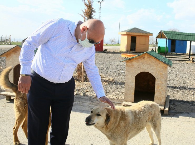 Keçiören Belediyesinden rekor tedavi hizmeti