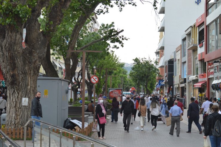 Bu ağaç doğayı kirletenlere oksijen vermiyor