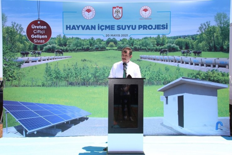 Temiz suya kavuşan hayvanlardan renkli görüntüler