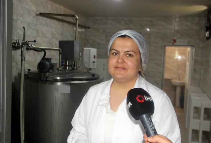 2 kadın günde 1 ton manda yoğurdu işliyor