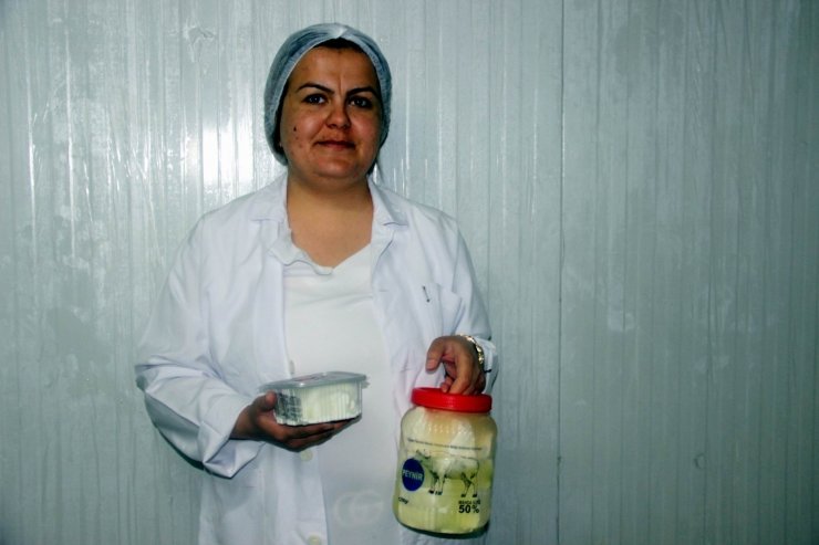 2 kadın günde 1 ton manda yoğurdu işliyor