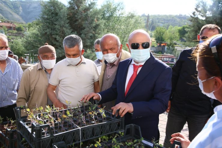 Keçiörenli çiftçilere 87 bin 680 adet ücretsiz sebze fidesi dağıtıldı