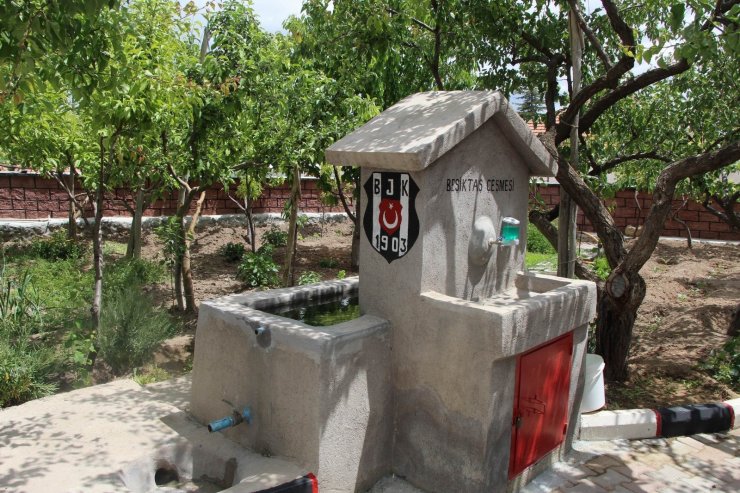Beşiktaşlı taraftar, evinin her yerini siyah-beyaza boyadı