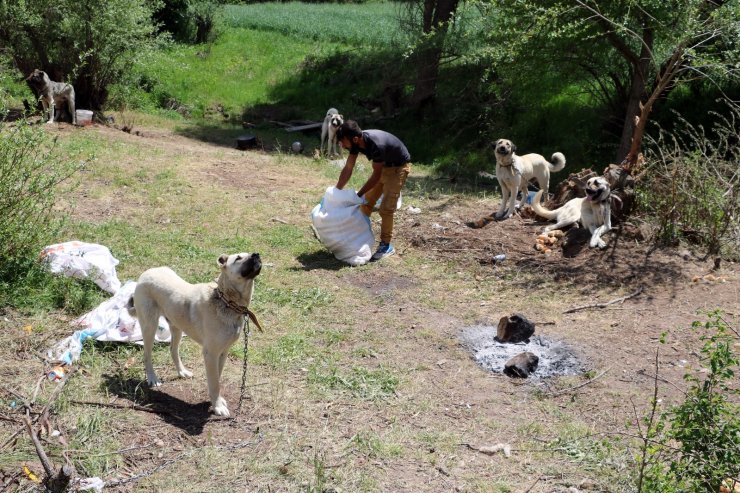 Sokak hayvanları için günlük 12 kilometre kat ediyor
