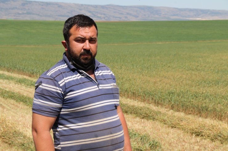 Kuraklık ve sıcak hava arpa ile buğdayı vurdu
