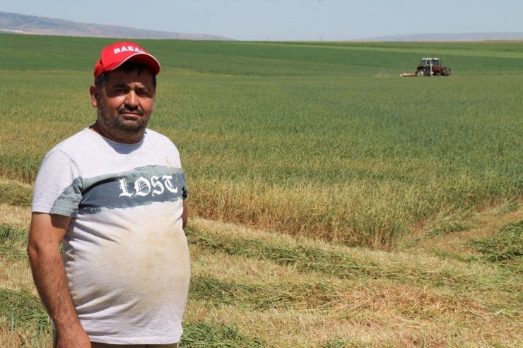Kuraklık ve sıcak hava arpa ile buğdayı vurdu