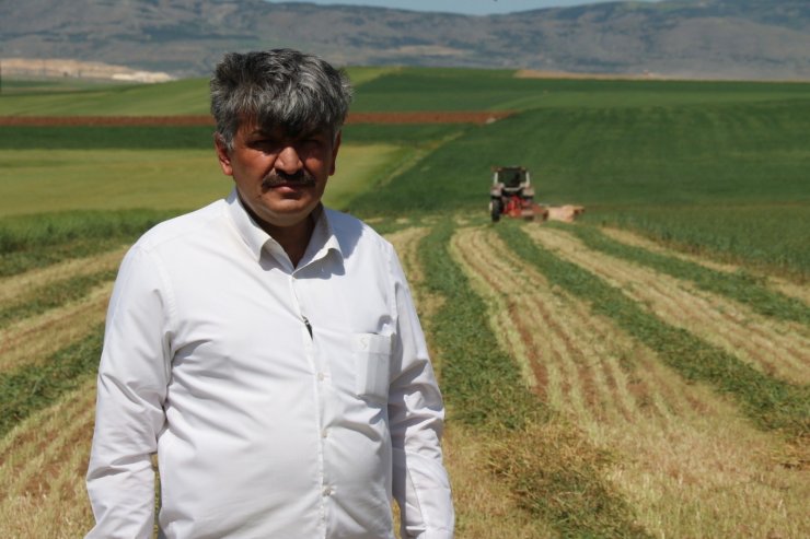 Kuraklık ve sıcak hava arpa ile buğdayı vurdu