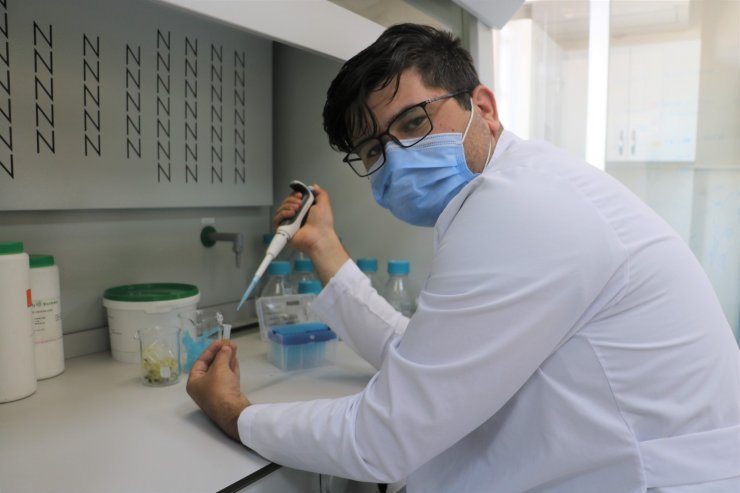 Kuraklığa karşı geliştirilen buğday genotipleri tescil yolunda
