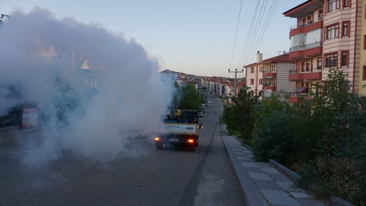Beypazarı Belediyesi haşere ilaçlama çalışmalarını sürdürüyor