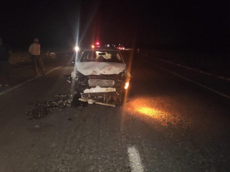 Otomobil sürüye daldı, 14 koyun telef oldu