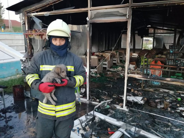 Konya’da büfe yandı, kediler ve köpek kurtarıldı