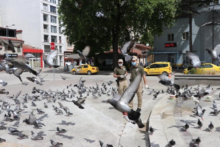Eskişehir polisi sokak hayvanlarını unutmadı