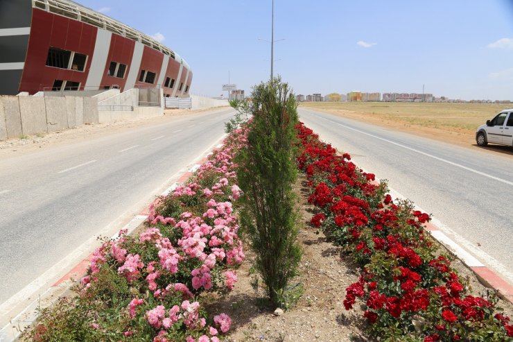 Karaman’da kavşak ve refüjler gül ve çiçeklerle donattı