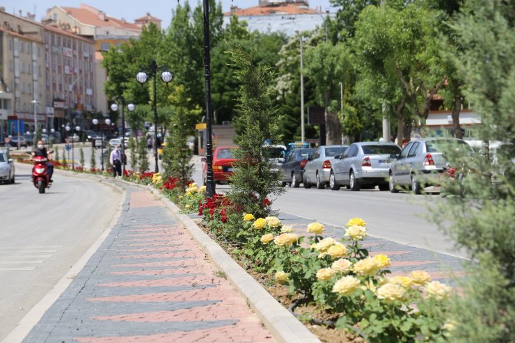 Karaman’da kavşak ve refüjler gül ve çiçeklerle donattı