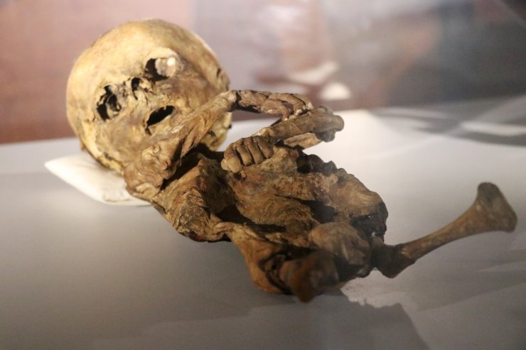 9. ve 11. yüzyıla ait insan ve hayvan mumyaları