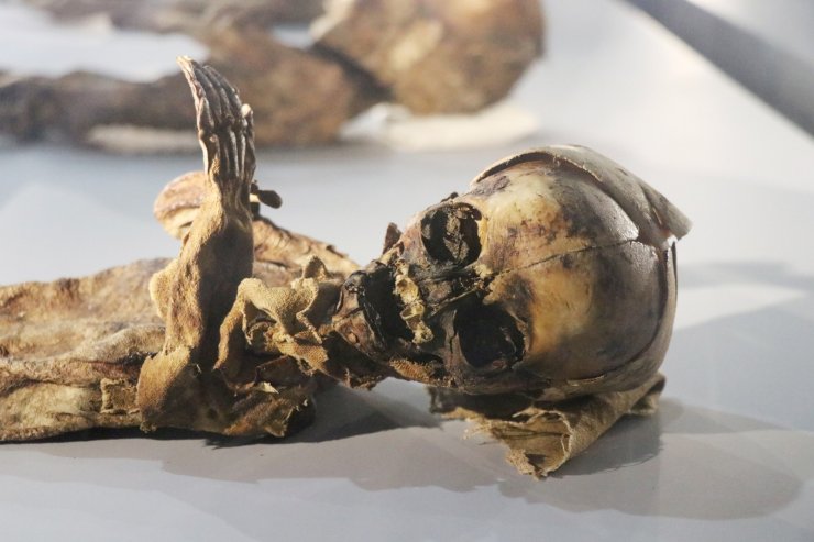 9. ve 11. yüzyıla ait insan ve hayvan mumyaları