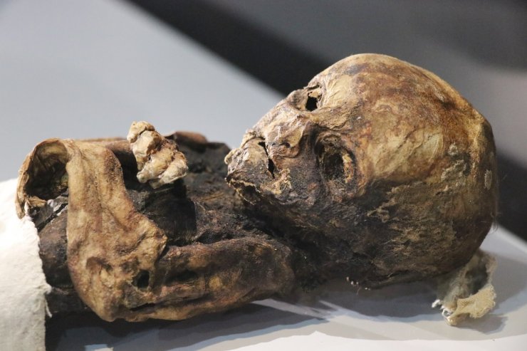 9. ve 11. yüzyıla ait insan ve hayvan mumyaları