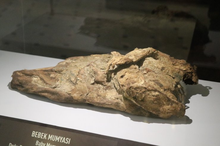 9. ve 11. yüzyıla ait insan ve hayvan mumyaları