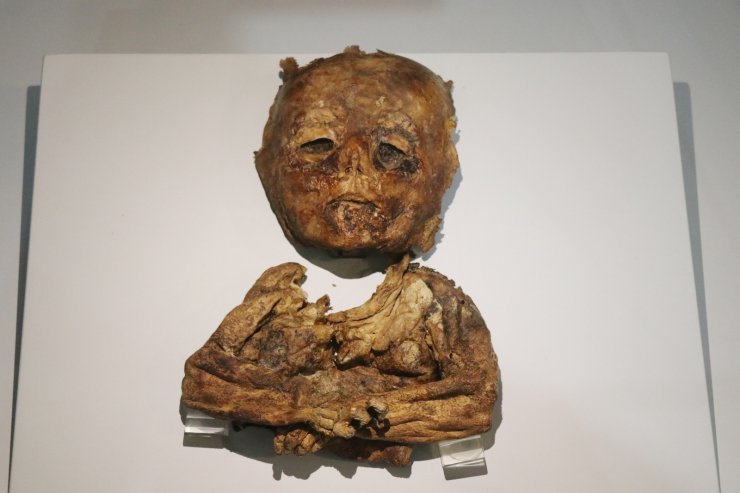 9. ve 11. yüzyıla ait insan ve hayvan mumyaları
