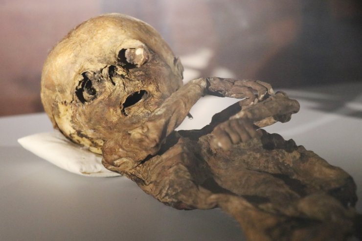 9. ve 11. yüzyıla ait insan ve hayvan mumyaları