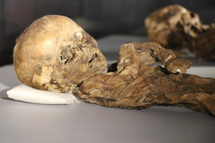 9. ve 11. yüzyıla ait insan ve hayvan mumyaları