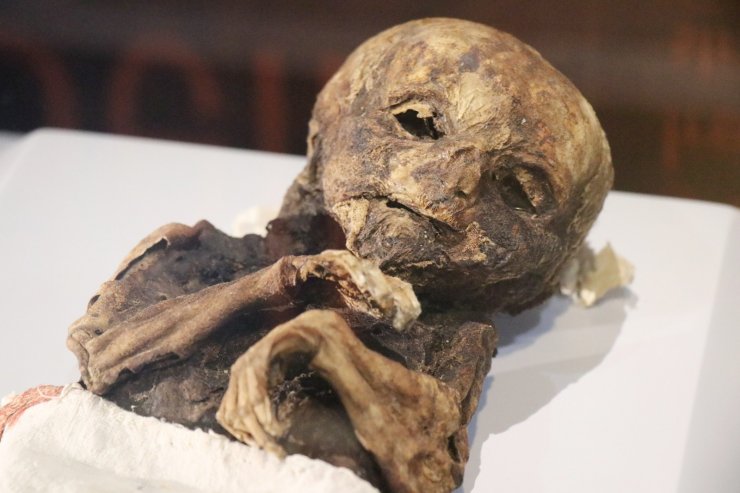 9. ve 11. yüzyıla ait insan ve hayvan mumyaları