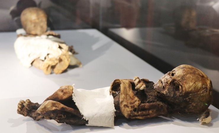 9. ve 11. yüzyıla ait insan ve hayvan mumyaları
