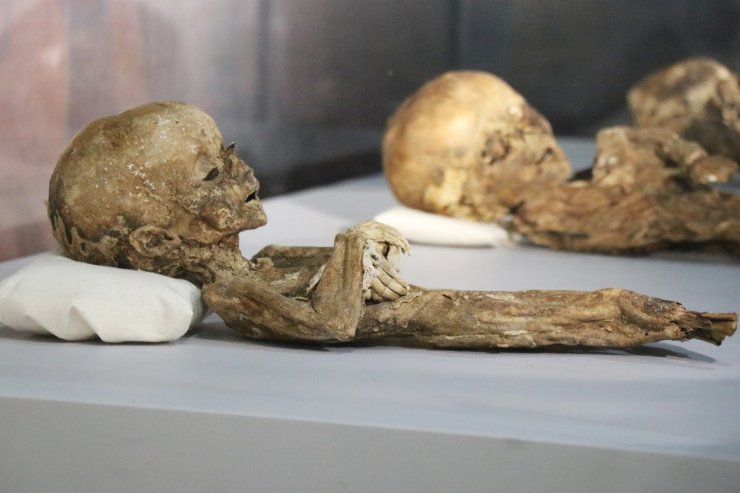 9. ve 11. yüzyıla ait insan ve hayvan mumyaları