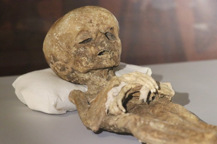 9. ve 11. yüzyıla ait insan ve hayvan mumyaları