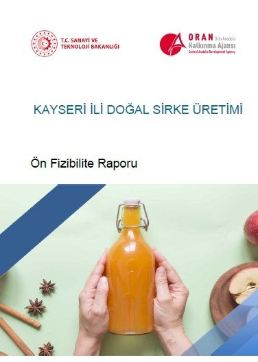 Orta Anadolu Bölgesi’nin Yatırım Fırsatlarını İçeren 14 Ön Fizibilite Raporu Yayında