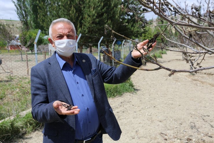 Kuralıktan etkilenen üreticilere destek