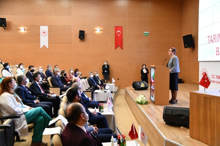 Işıkgece: “2020 yılında 1 milyon 300 bin denetim yaptık”