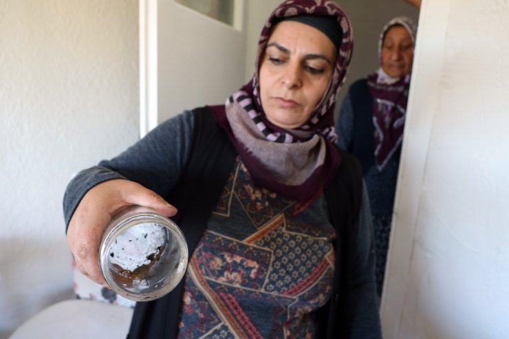 Evlerini akrepler bastı, hayatları kabusa döndü