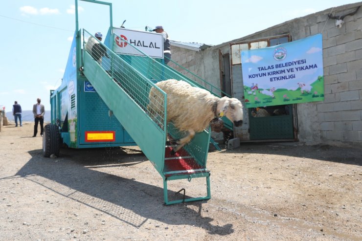 Başkanın tasarımını yaptığı mobil koyun banyosu aracı çiftçilerin yüzünü güldürdü, koyunların verimini artırdı