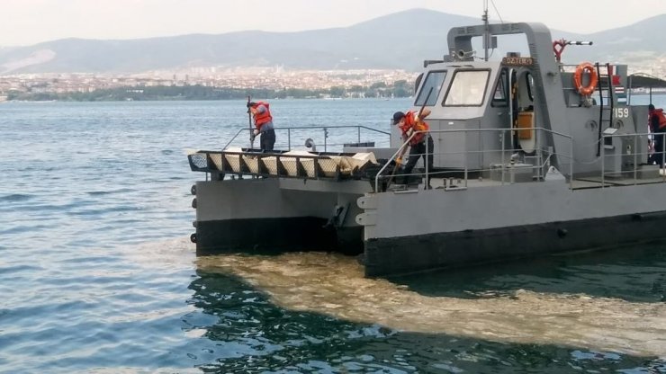 MSB: “Gölcük Poyraz Limanı’nda, 7 Haziran’da müsilaj temizleme faaliyetlerine başlanmıştır”