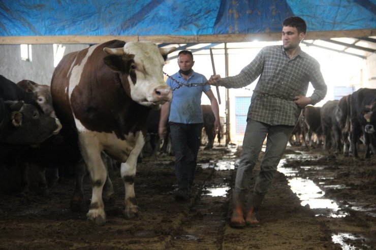 Fiyatıyla dudak uçuklatıyor, görenler gözlerine inanamıyor