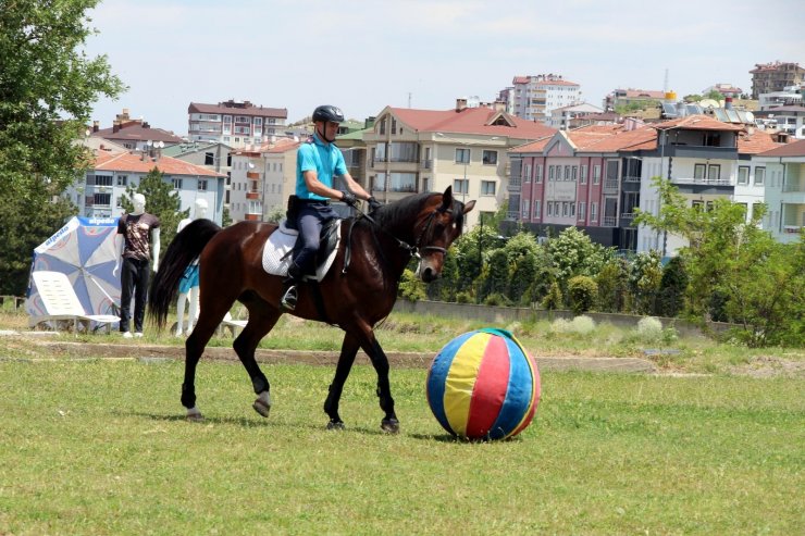 Futbolcuları aratmayan at
