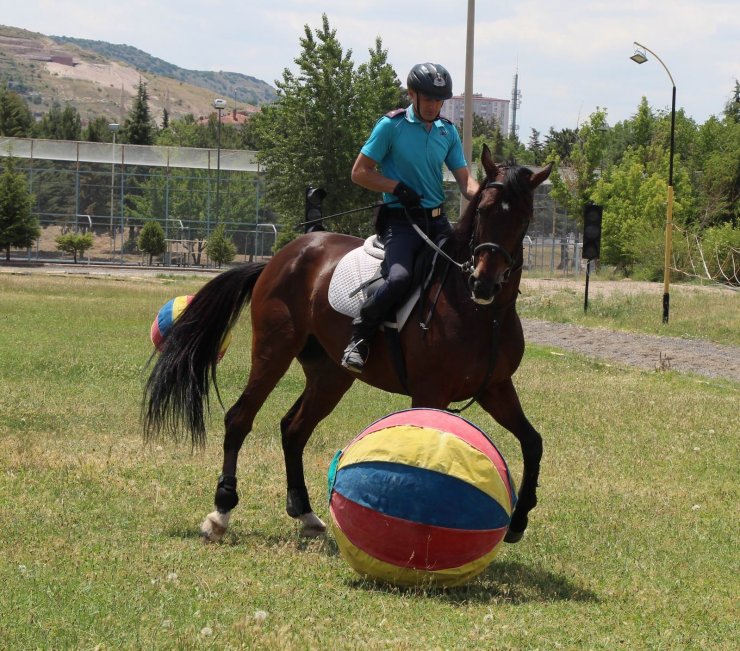 Futbolcuları aratmayan at