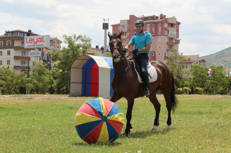 Futbolcuları aratmayan at