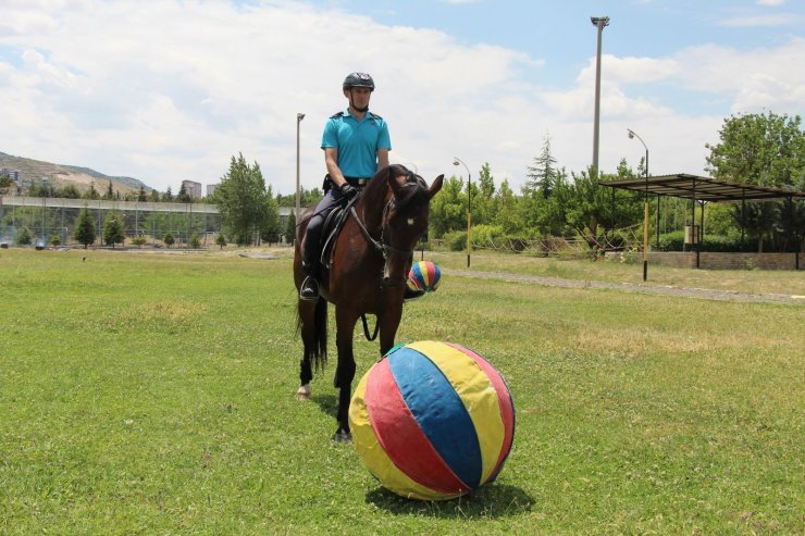 Futbolcuları aratmayan at