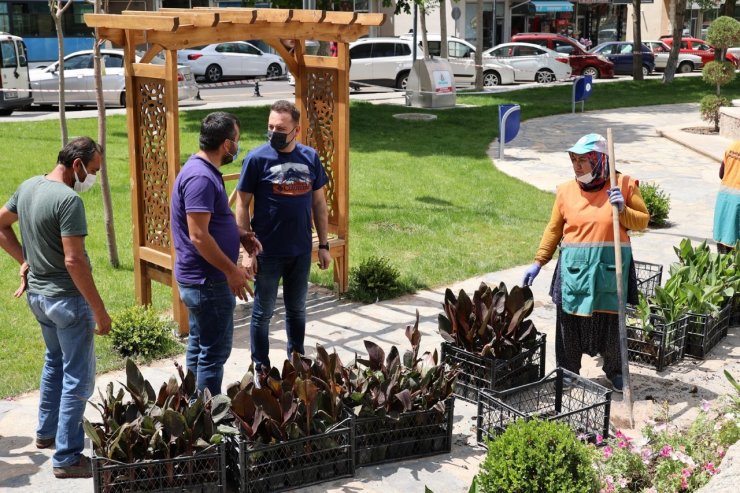 Park ve yeşil alanlara yaz bakımı yapılıyor