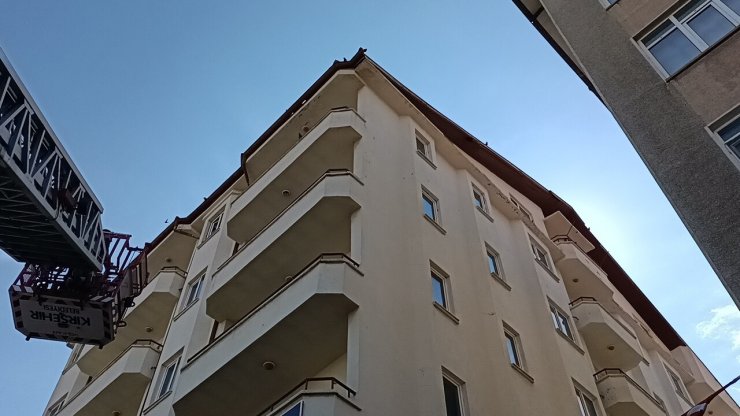 Çatıya sıkışan kargayı itfaiye kurtardı