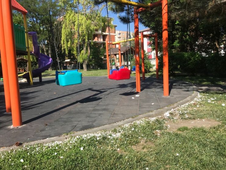 Aynı park aynı görüntüler